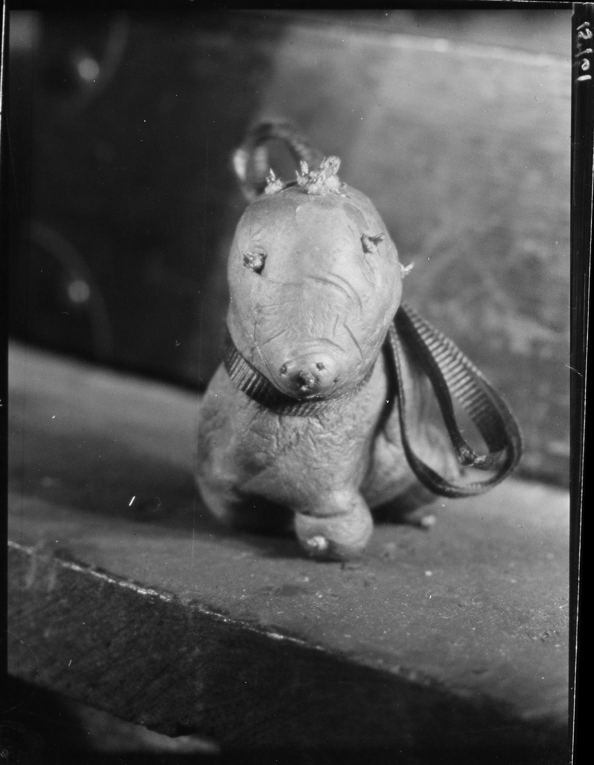 Dog-shaped potato (1929).